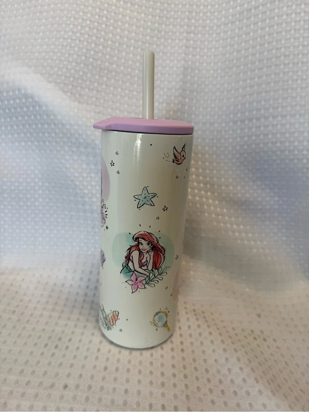 Zak! Disney Princess Pink-Trim Stainless Tumbler with Straw